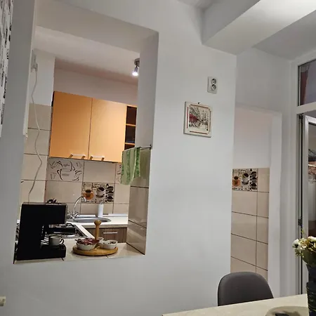 Apartment Cozy Coresi *