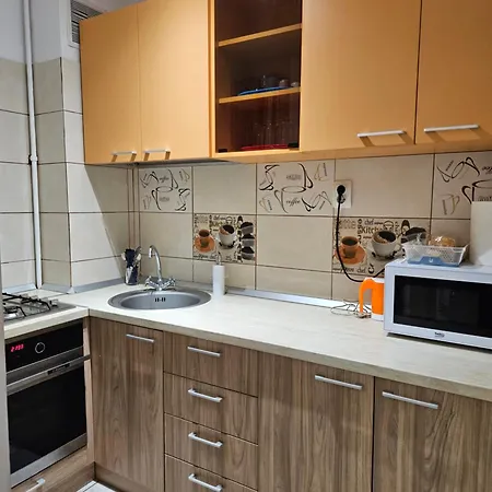 Cozy Studio Coresi Brasov