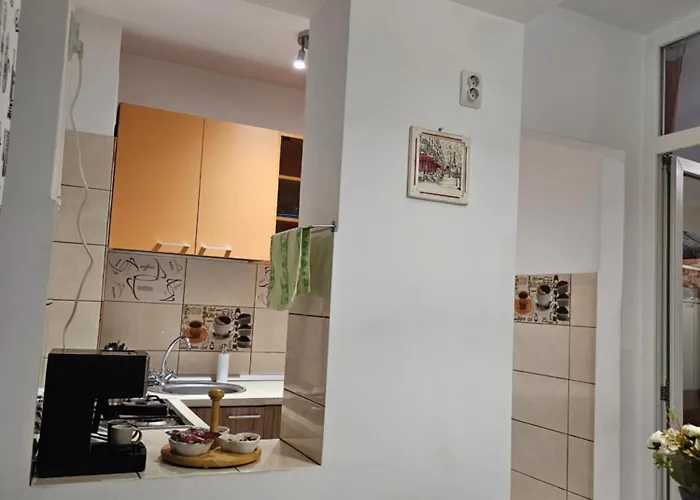 Apartment Cozy Coresi *