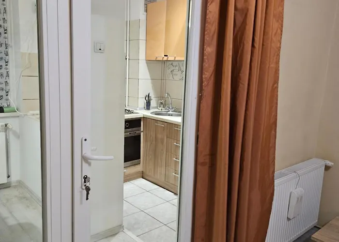 Apartment Cozy Coresi *